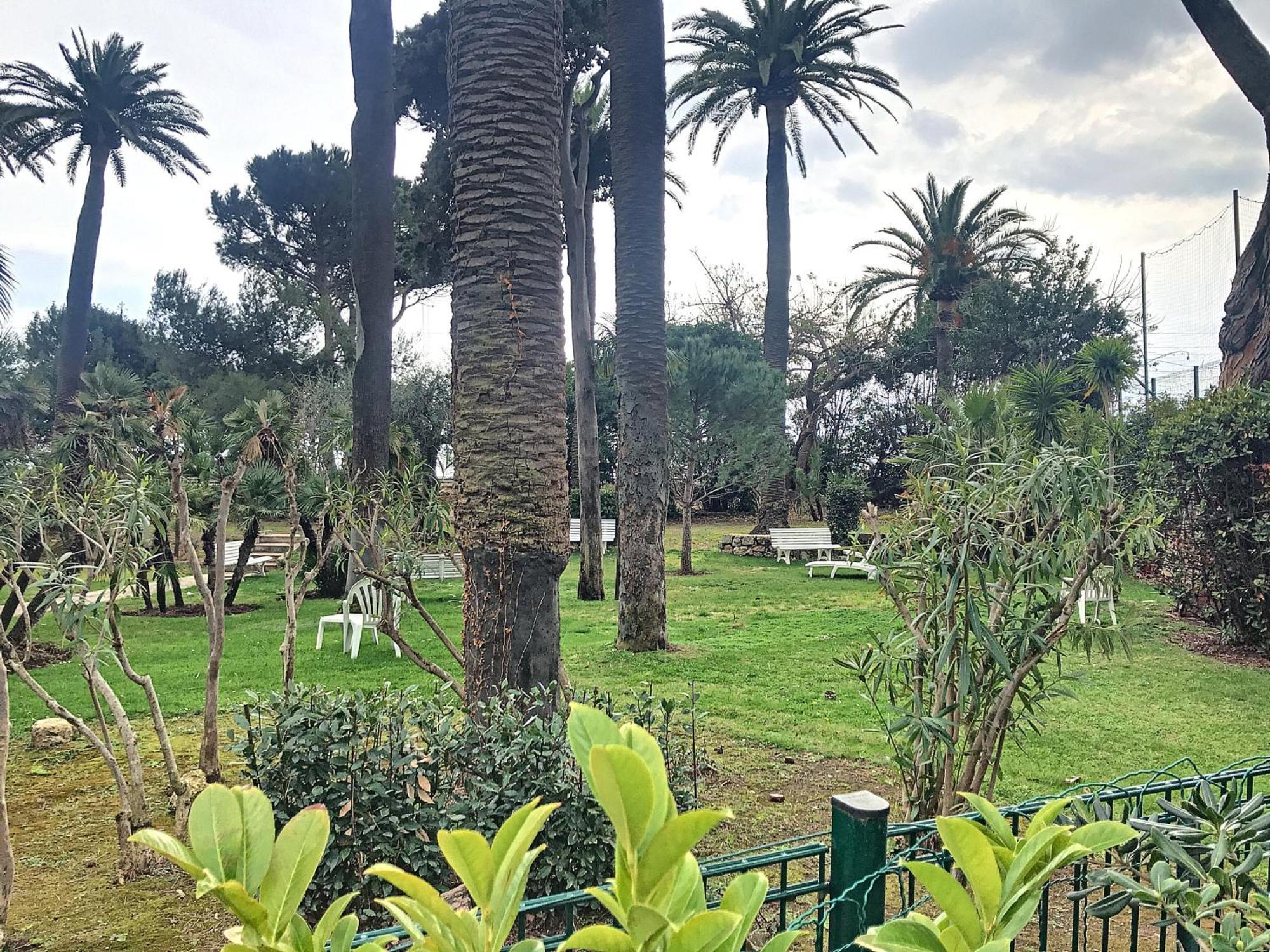 A Deux Pas Des Plages Piscine 346l Franchi * Cannes